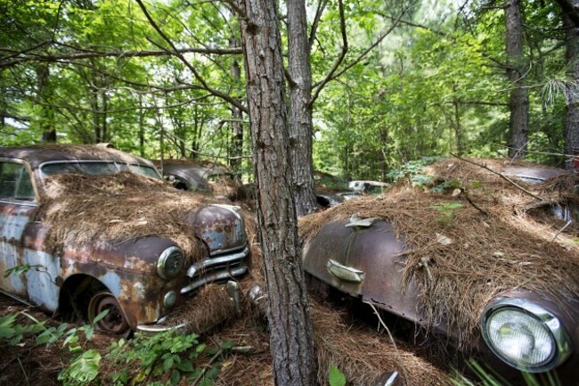 Classic Car Junkyard