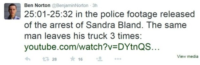 ben norton 1