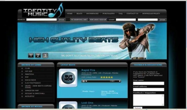 Z305-15musicwebsite