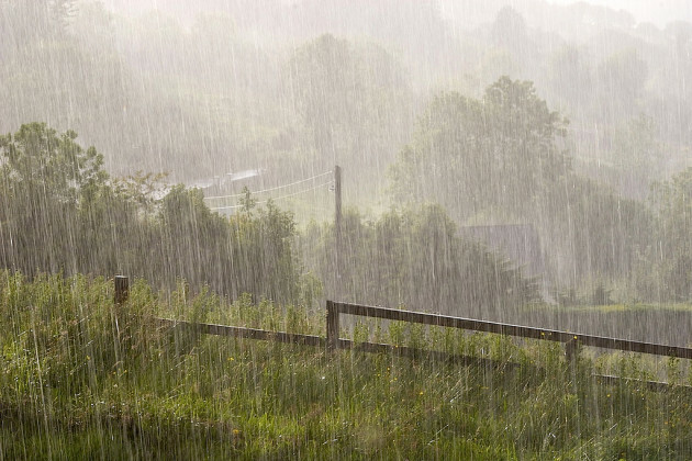 Irish Summer