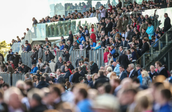 Fans at the races