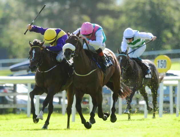 Horse Racing - Galway Festival - Day Five - Galway Racecourse