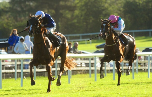 Horse Racing - Galway Festival - Day Five - Galway Racecourse