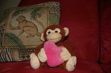 monkey