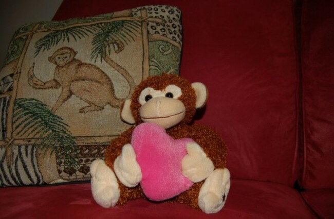 monkey