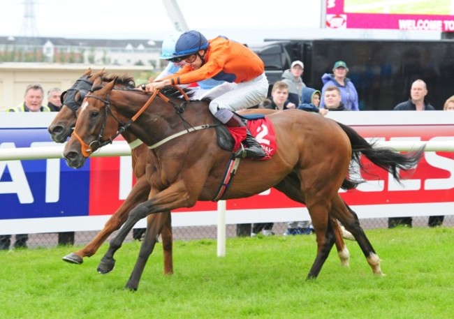 Horse Racing - Galway Festival - Day Seven - Galway Racecourse