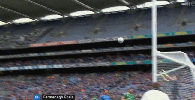 Fermanagh Goal