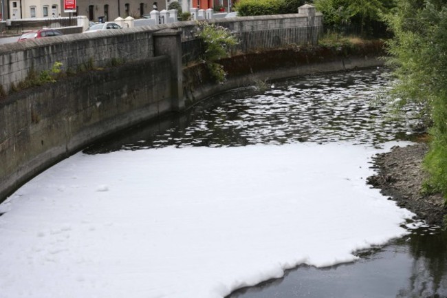 22/07/2014 Tolka River pollution