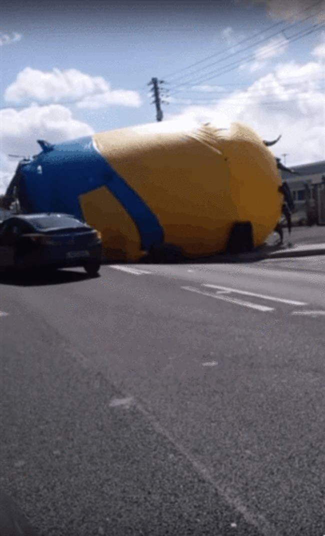 minion1