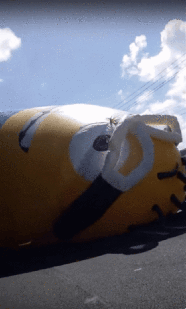 minion2