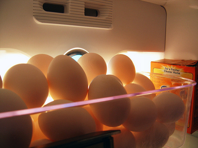 Eggs so Fresh