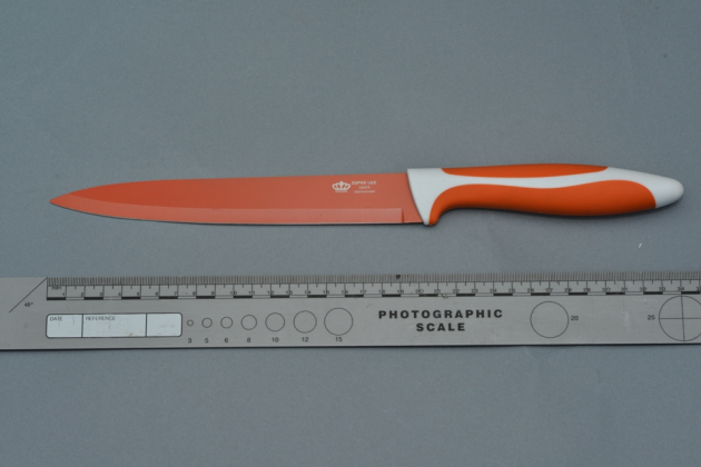 Jennifer Dornan murder - knife appeal (1)