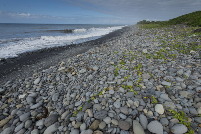 Reunion Missing Malaysia Plane