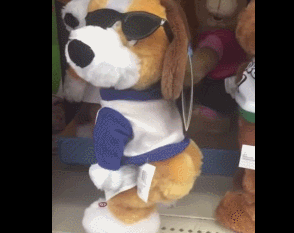 Here's one toy dog you definitely won't be seeing on the Toy Show this year