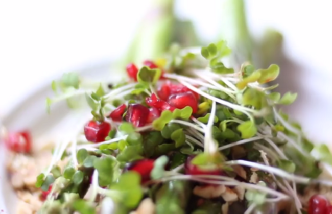 Screen Shot 2015-08-08 at 16.54.20