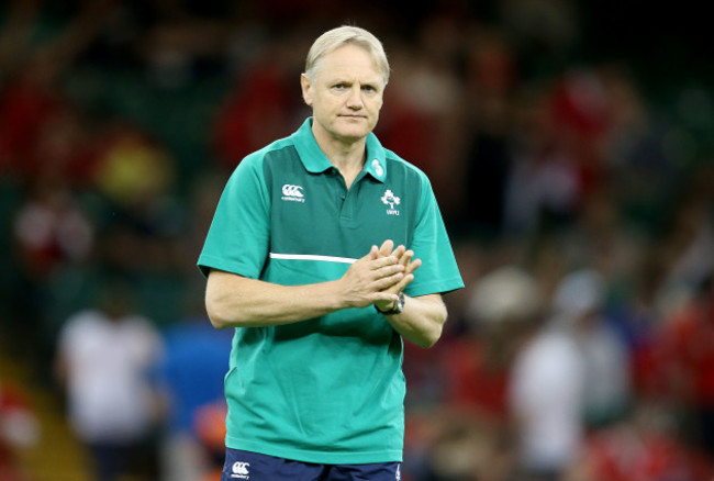 Joe Schmidt