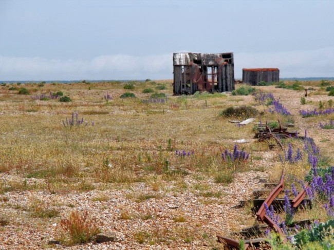 dungeness-estate