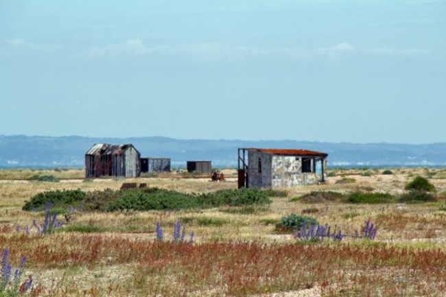 the-deserts-distinctive-and-undisturbed-landscape-is-mostly-shingle-sand-and-patches-of-overgrown-foliage-with-scatterings-of-old-fishing-huts-houses-and-railway-coaches