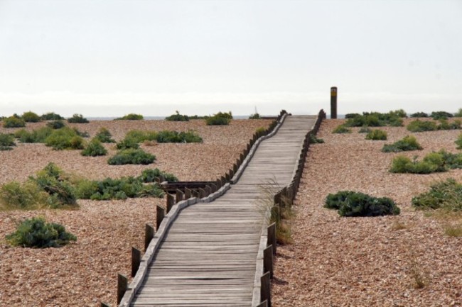 despite-it-being-seemingly-deserted-at-first-glance-the-site-is-teeming-with-wildlife-its-considered-to-be-of-international-interest-and-conservation-importance-for-its-plant-and-invertebrate-communities-and-birdli