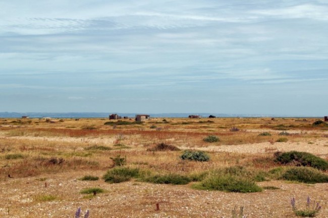 residents-who-live-here-are-attracted-to-the-peace-of-the-lonely-peninsula-and-say-dungeness-power-stations-hum-is-a-soothing-comfort