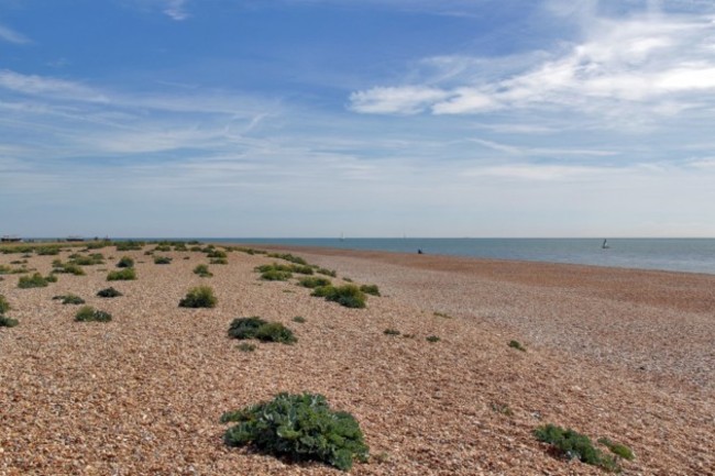 i-can-safely-say-that-in-my-25-plus-years-at-strutt-and-parker-i-havenever-sold-or-will-ever-sell-anything-quite-like-the-dungeness-estate-said-mark-mcandrew-head-of-strutt-and-parkers-estate-and-farm-sales