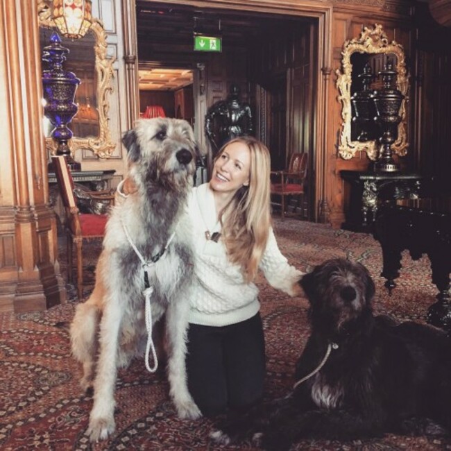 Bailey's going to be jealous! #ashford_wolfhounds #ashfordcastle #puppylove