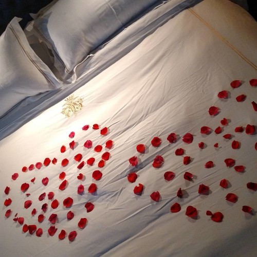 #ashfordcastle #turndownservice #honeymoon #bed #flowers