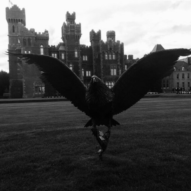 The most incredible place I've ever stayed. #ashfordcastle #Ireland