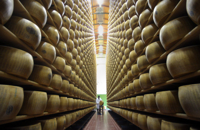 Italy Food Detectives