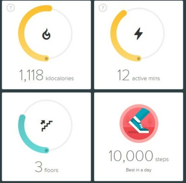 fitbit 1