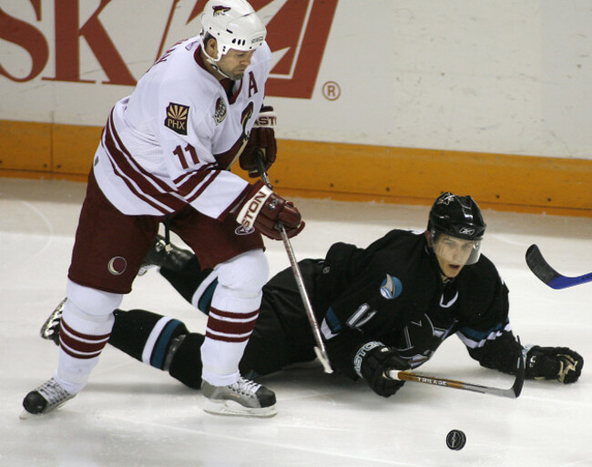 Coyotes Sharks Hockey