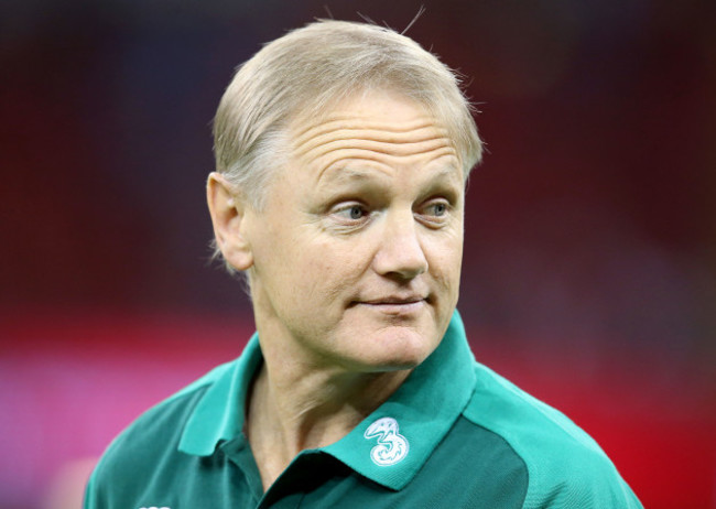 Joe Schmidt