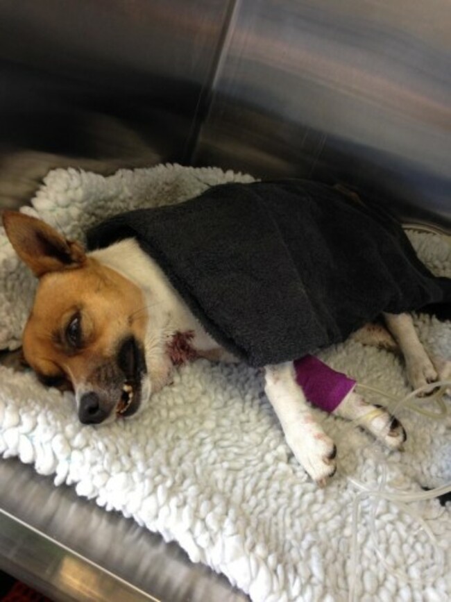 11878880_1059661307377991_4780661460748833980_o