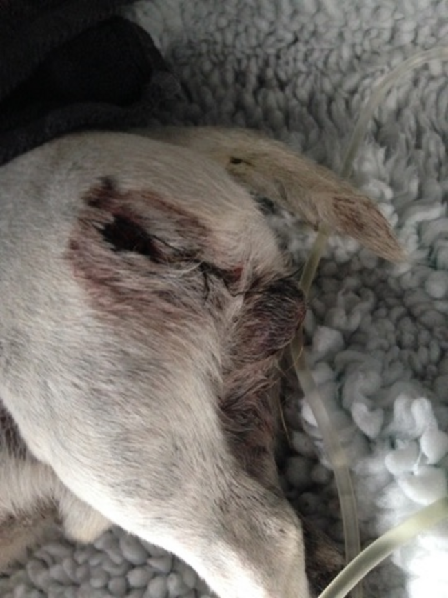 11870946_1059661357377986_2958706356242650208_n