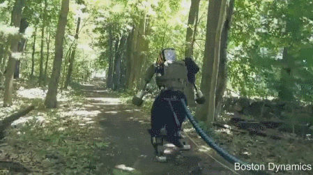 Altus walking through woods