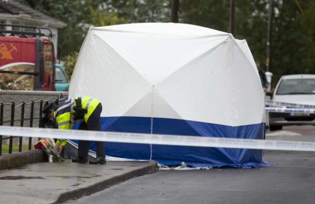 23/8/2015. Naas Killing. Gardai at the scene on Sa