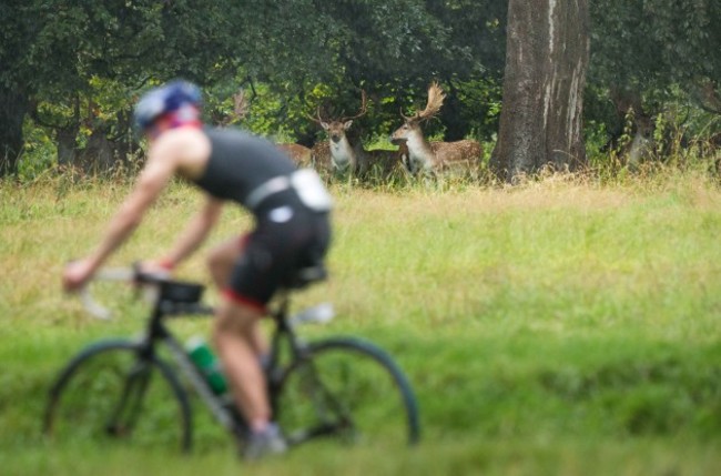 Competitors pass deer in the Phoenix park