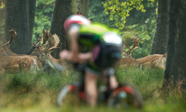 Competitors pass deer in the Phoenix park