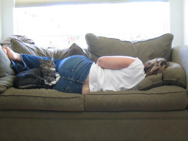 cat naps