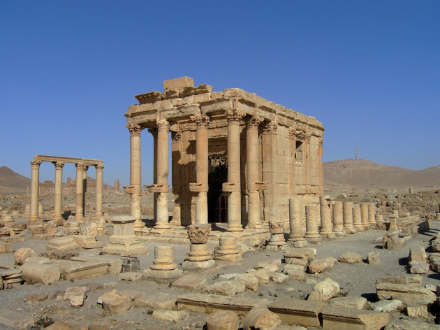 Palmyra - تدمر