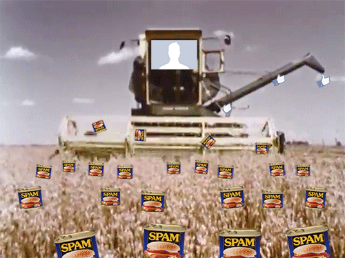 Facebook Animated GIF