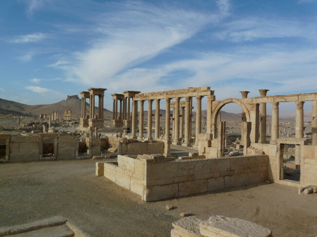 palmyra