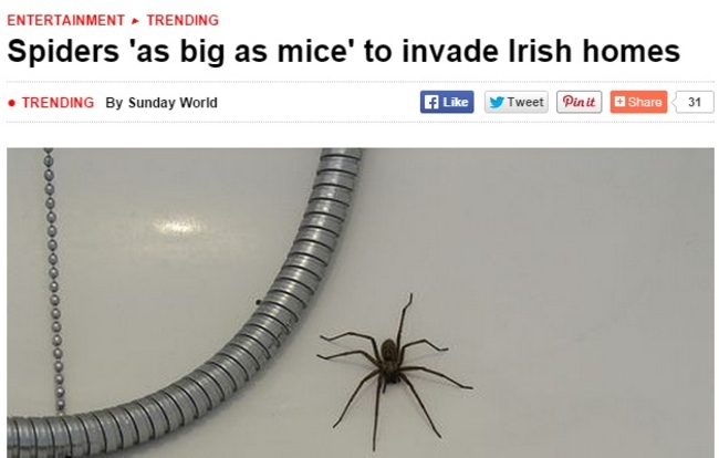 spiderhead
