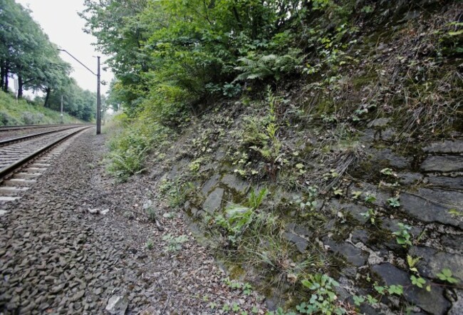 Poland Nazi Train