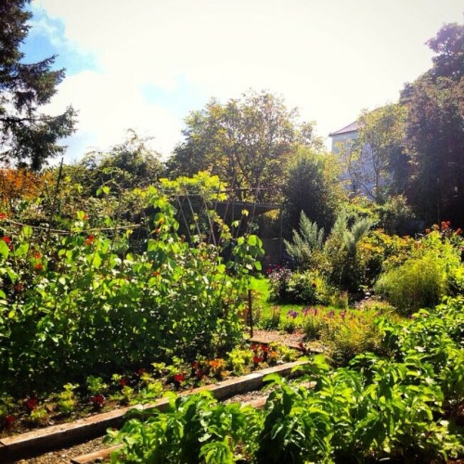 I would be very happy with this as my kitchen garden! at the lovely #glebegardens #baltimore #westcork #moredeliciousfood