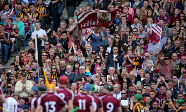 Fans at the game