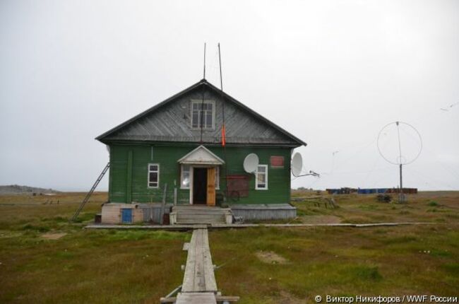 meteostantsiya.big