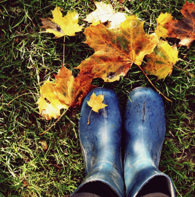 autumn