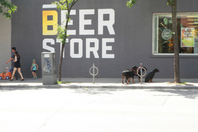 The Beer Store