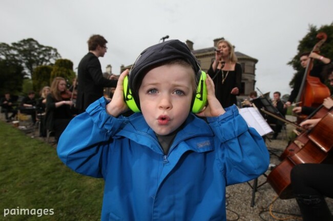 Electric Picnic festival 2012